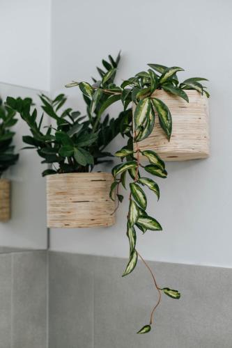 a plant in a wooden planter on a wall at Kingswood Manor No.17 in George