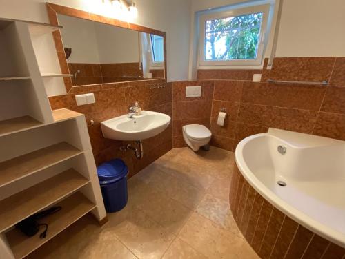 a bathroom with a sink and a toilet and a mirror at Ferienhaus Pfälzer Wald Weyher in Weyher
