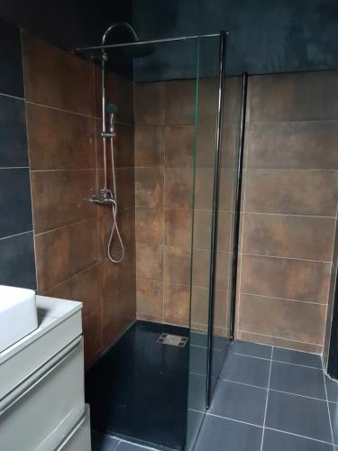 y baño con ducha y puerta de cristal. en Cosy Lodg, en Bourogne