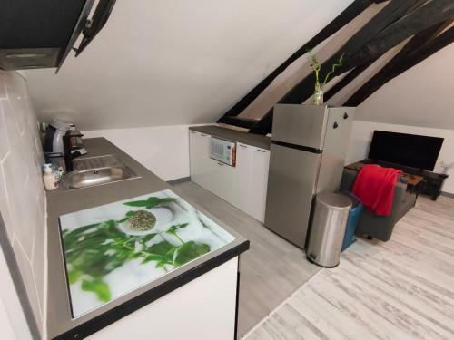 a small kitchen with a sink and a refrigerator at LA MACHINE Sous Combles in La Machine