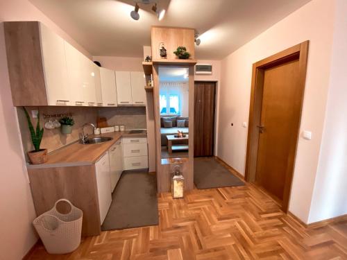مطبخ أو مطبخ صغير في Apartman Srbljak