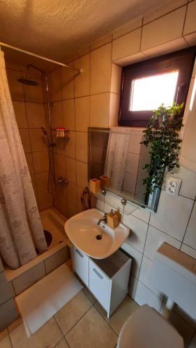 y baño con lavabo, ducha y aseo. en Holiday home Franky en Varaždin Breg