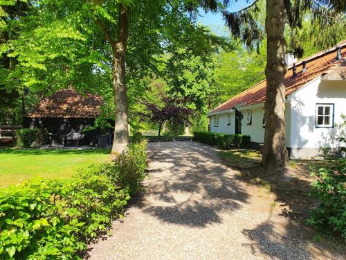 Zahrada ubytování Midden in de Friese bossen op landgoed Princenhof