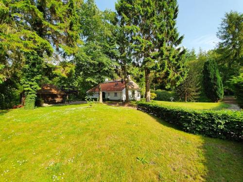 Zahrada ubytování Midden in de Friese bossen op landgoed Princenhof