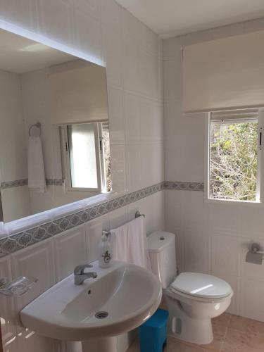 a white bathroom with a sink and a toilet at Apartamentos Pinos Genil in Pinos Genil