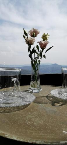 a vase with flowers in it on a table at B&B La Castellina in Abbadia San Salvatore