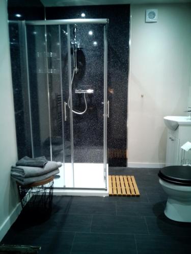 La salle de bains est pourvue d'une douche en verre et de toilettes. dans l'établissement The Secret Cellar, à Gatehouse of Fleet