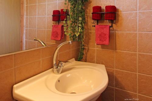 a bathroom with a sink and a mirror at Under the Walnut Tree Shade Lodge in Adi