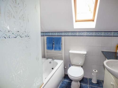 a bathroom with a toilet and a tub and a sink at Blaendyffryn Fach in Llanybyther