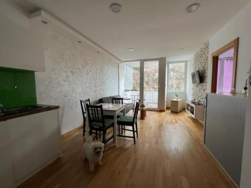 um cão de pé numa cozinha com uma mesa e cadeiras em Schönbrunn Luxury Apartment em Viena