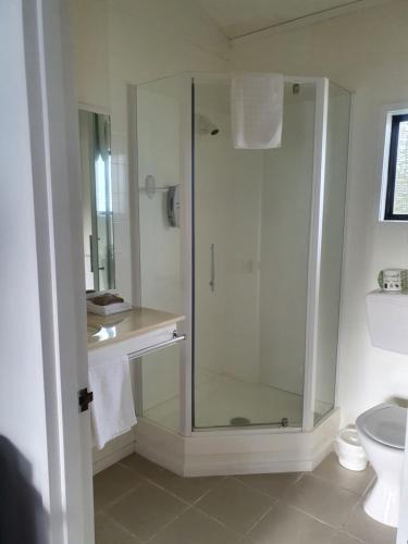 a bathroom with a glass shower with a toilet at Ohakune Court Motel in Ohakune