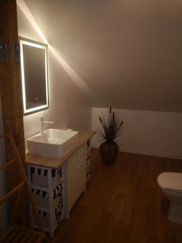 a bathroom with a sink and a toilet at Podlaski Bon Turystyczny eMKa Noclegi apartamenty in Augustów