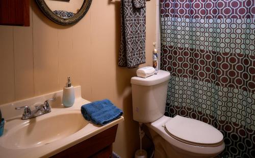 La salle de bains est pourvue de toilettes, d'un lavabo et d'une douche. dans l'établissement Room in BB - Pleasant Days Bb Southwest Cottage, à Homosassa