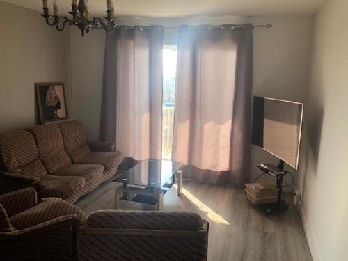 ein Wohnzimmer mit Sofa und Fernseher in der Unterkunft Kennedy in Saint-Jean-de-Braye