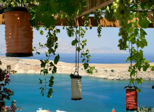 a bunch of hanging plants with a view of the water at Melenos Art Boutique Hotel in Líndos