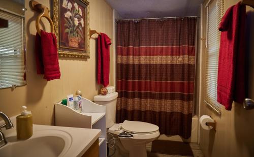 a bathroom with a toilet and a sink and a shower at Room in BB - Pleasant Days Bb Tropical Master Suite in Homosassa