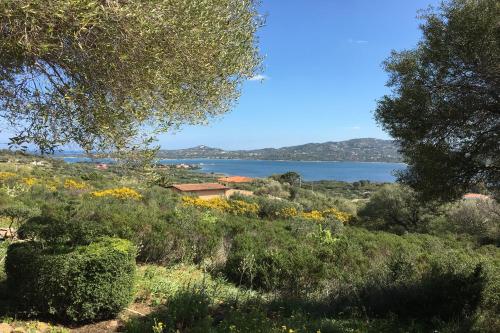 a view of the water from a field with flowers at Bella Vista With Sea View - Happy Rentals in Cugnana