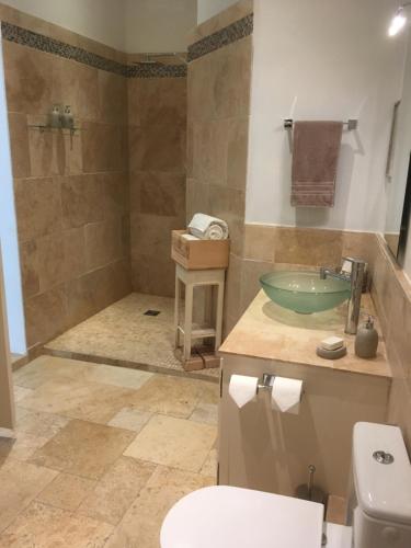 リル・シュル・ラ・ソルギュにあるCoeur de l'Arquetのバスルーム(シャワー、トイレ、シンク付)