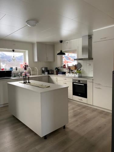 A kitchen or kitchenette at In the heart of the Lyngen alps, Holmen i Lyngen