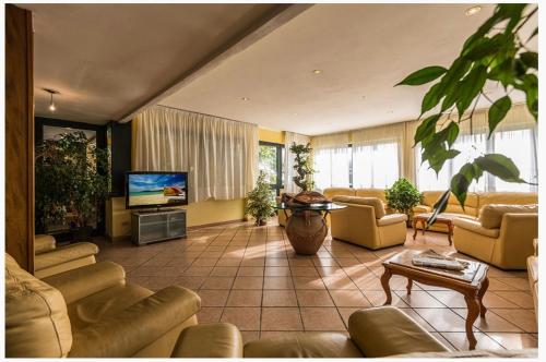 ein Wohnzimmer mit Sofas und einem Flachbild-TV in der Unterkunft Hotel San Carlo in Marina di Pietrasanta