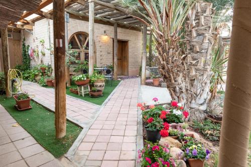 Κήπος έξω από το Desert Routes Inn Shvilim ba Midbar