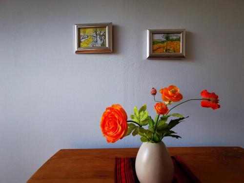 Fotografie z fotogalerie ubytování Haus Seenland v destinaci Feldberg