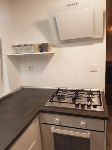Dapur atau dapur kecil di Apartments and Rooms Ivana