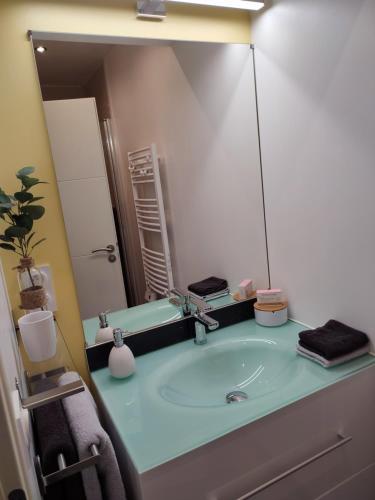 uma casa de banho com um lavatório e um espelho grande em Appartement avec terrasse - M4 Lucie Aubrac em Bagneux