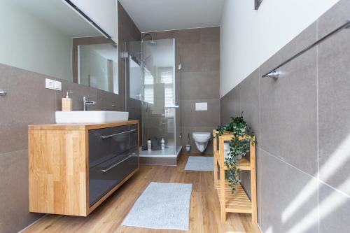a bathroom with a sink and a toilet and a mirror at FULL HOUSE Studios - The Swansea Apartment - WiFi in Zwickau