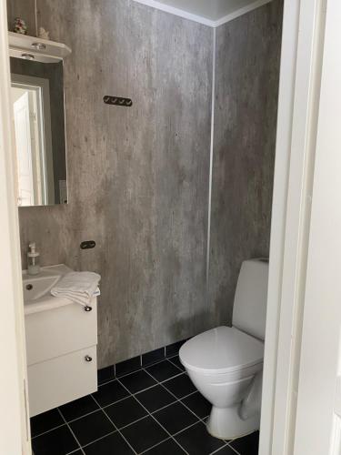 a bathroom with a toilet and a sink and a mirror at In the heart of the Lyngen alps, Holmen i Lyngen in Lyngseidet