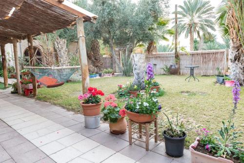 Κήπος έξω από το Desert Routes Inn Shvilim ba Midbar