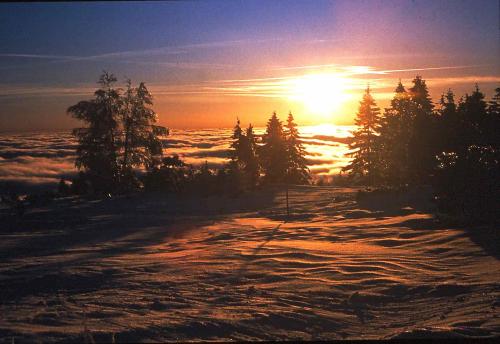 a sun setting over a snowy field with trees at Hotel Restaurant Falken in Baiersbronn