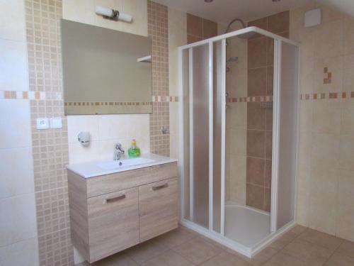 a bathroom with a shower and a sink at Apartmány Filipov in Česká Kamenice