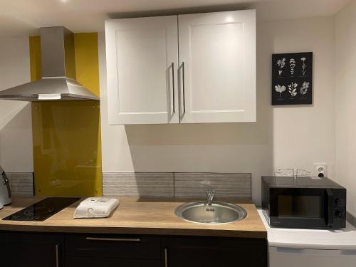 une cuisine avec un évier et un micro-ondes dans l'établissement T1 Bis Cosy proche Gare, à Lourdes