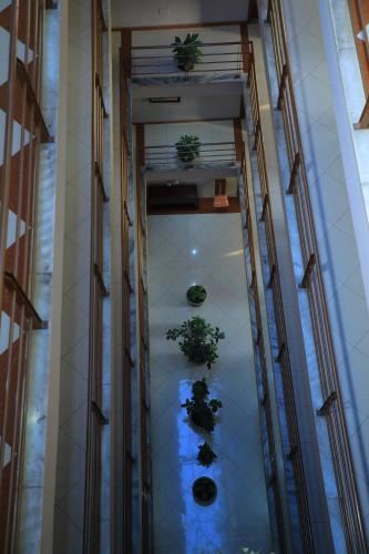 a hallway with potted plants in a building at Victoria Hotel Apartment in Addis Ababa