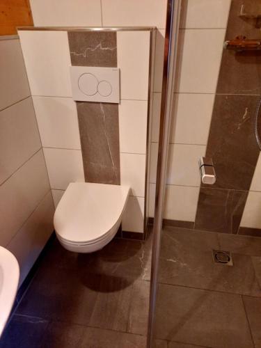 a bathroom with a toilet and a shower at Ferienhaus Dummer in Flattach