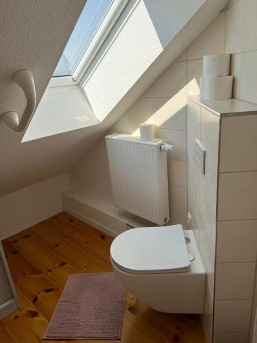 a bathroom with a white toilet and a skylight at Westfälischer Hof - Loft in Lehnin