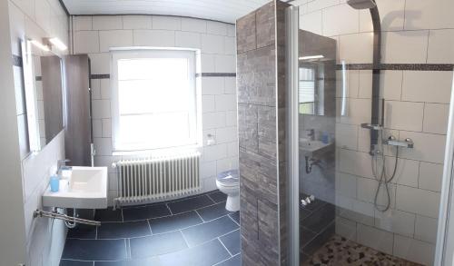 een badkamer met een douche, een wastafel en een toilet bij Gaestehaus-Zur-alten-Post-Wohnung-Sued in Dornum