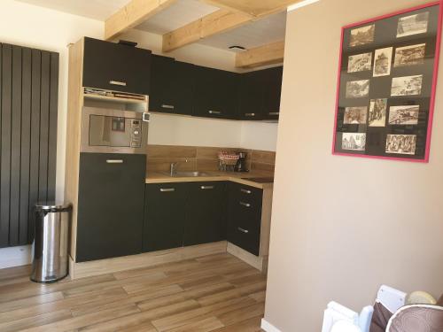 une cuisine avec des armoires noires et un réfrigérateur en acier inoxydable dans l'établissement Le Chalet des Roses, à Veules-les-Roses
