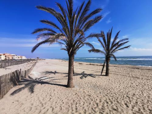 Soleil Levant 2 - En bord de mer - Superbe Appartement Cosy - Accès direct plage - Proche Commerces et Animations