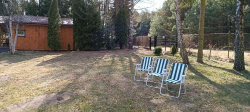 two blue and white chairs sitting in a yard at Zacisze u Ani in Siemiany