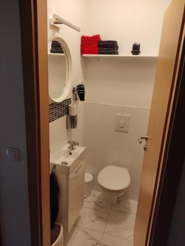 un piccolo bagno con servizi igienici e lavandino di APARTMAN "MARA" a Duće