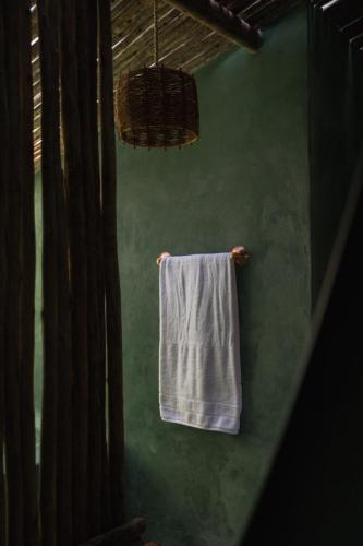 a towel hanging on a green wall in a bathroom at Øko Villa in Juquei