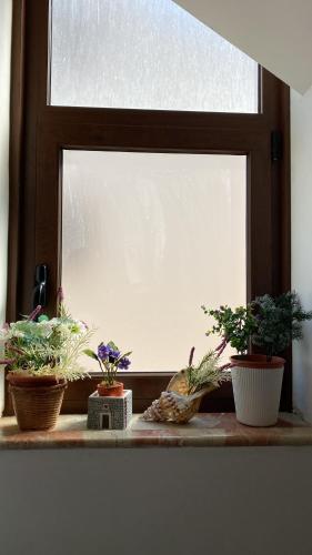 a window with potted plants sitting on a window sill at Isoladelmiele in Marettimo