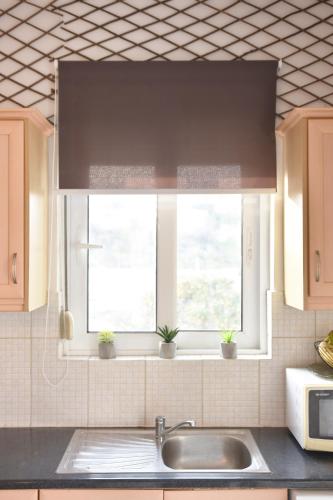 a kitchen with a sink and a window with potted plants at Casa de Campo 2 in Almyrida