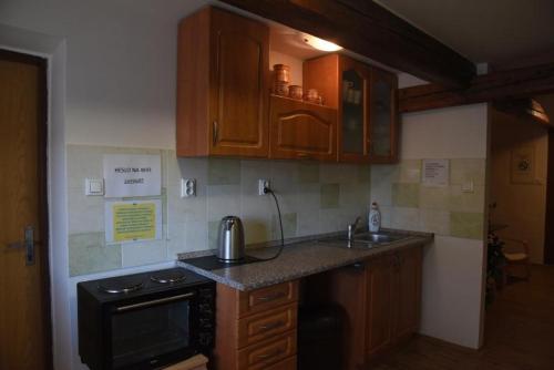 uma cozinha com um lavatório e um fogão forno superior em Pension Hejnice em Hejnice