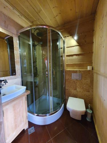 ポロニンにあるDomek Góralski Chatka Puchatkaのバスルーム(シャワー、トイレ、シンク付)