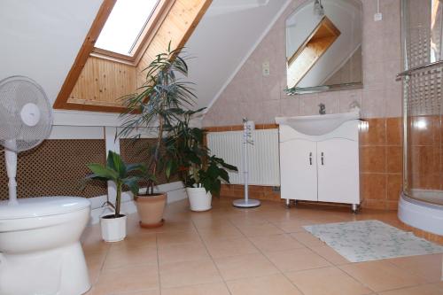 ein Bad mit einem WC, einem Waschbecken und Pflanzen in der Unterkunft Tornyos Vendégház in Eplény