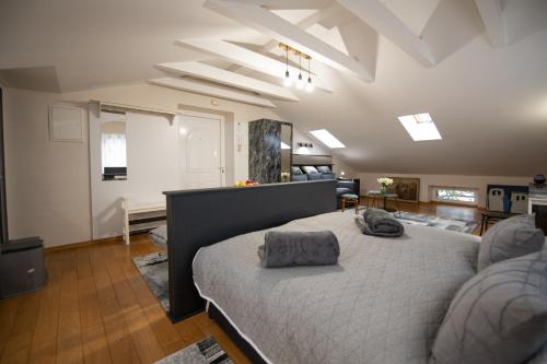 Studio "CENTAR 1"-50m2