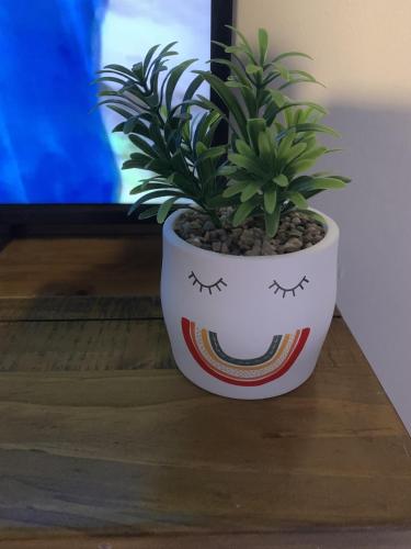a potted plant sitting on a table next to a tv at Kirkby House, 3 bedroom, sleeps up to 7 with sofa bed, holiday, corporate, contractor stays in Kirkby in Ashfield